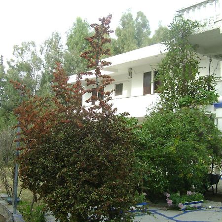 Villa Zoi Thronion Εξωτερικό φωτογραφία