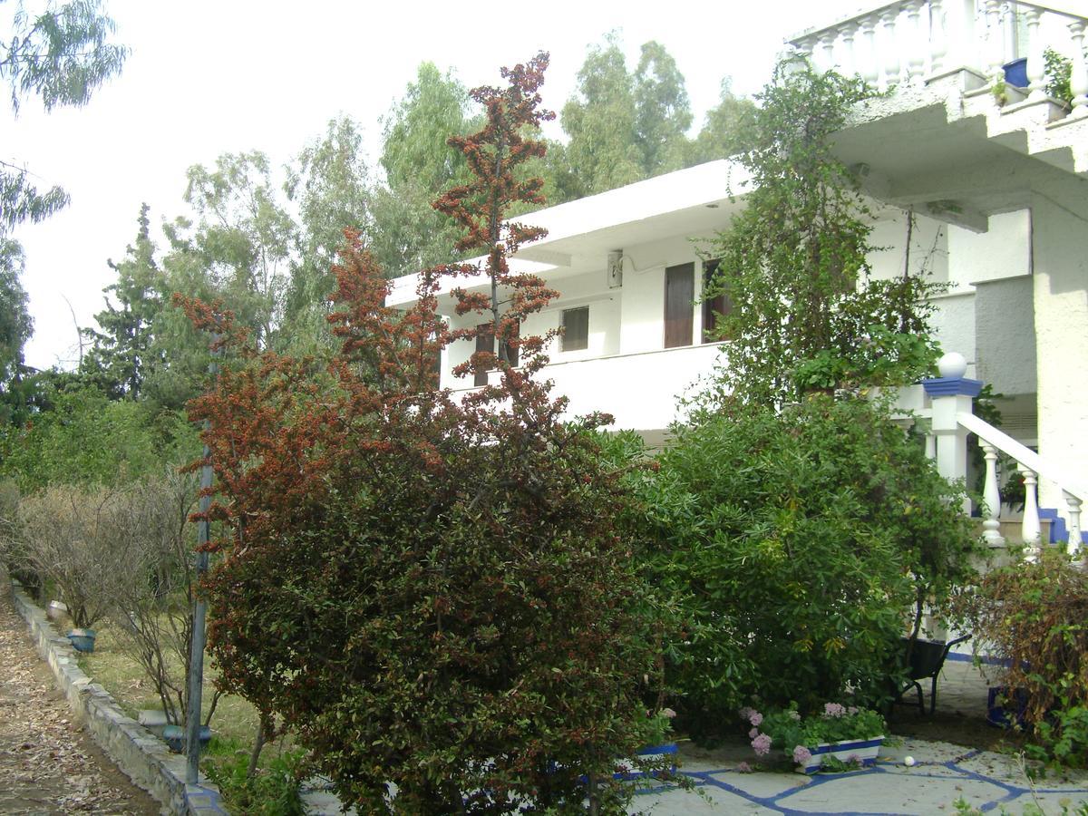 Villa Zoi Thronion Εξωτερικό φωτογραφία