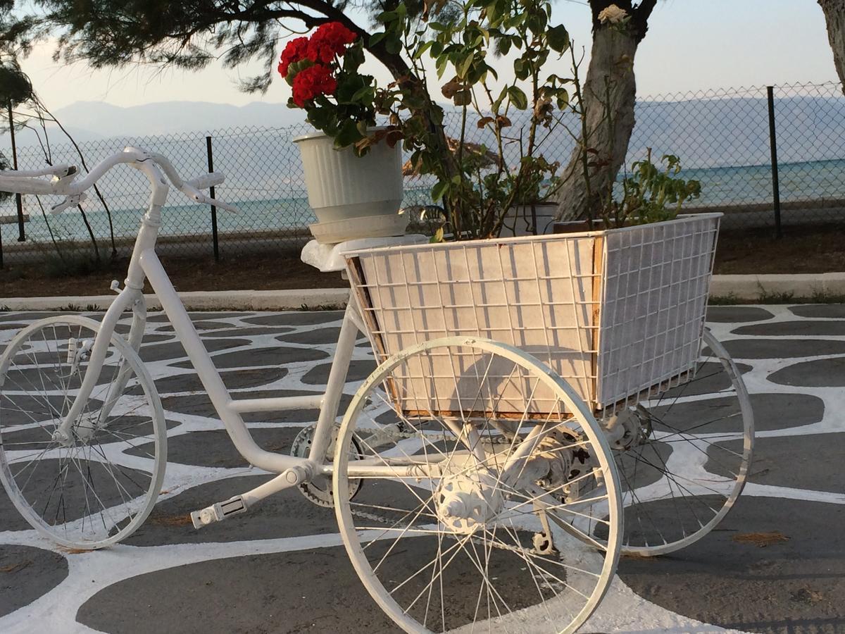 Villa Zoi Thronion Εξωτερικό φωτογραφία