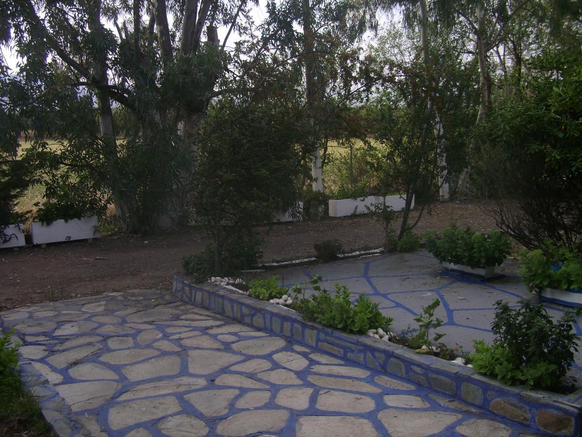 Villa Zoi Thronion Εξωτερικό φωτογραφία