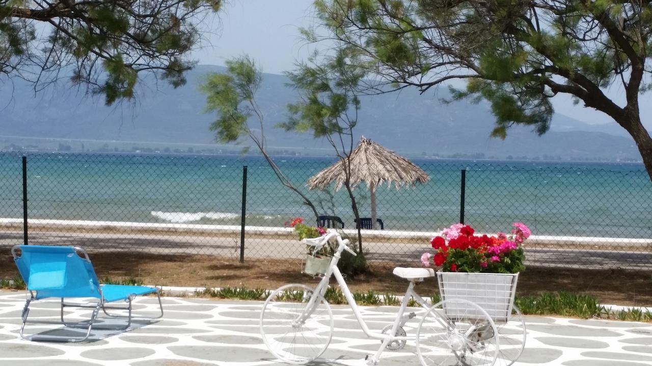 Villa Zoi Thronion Εξωτερικό φωτογραφία