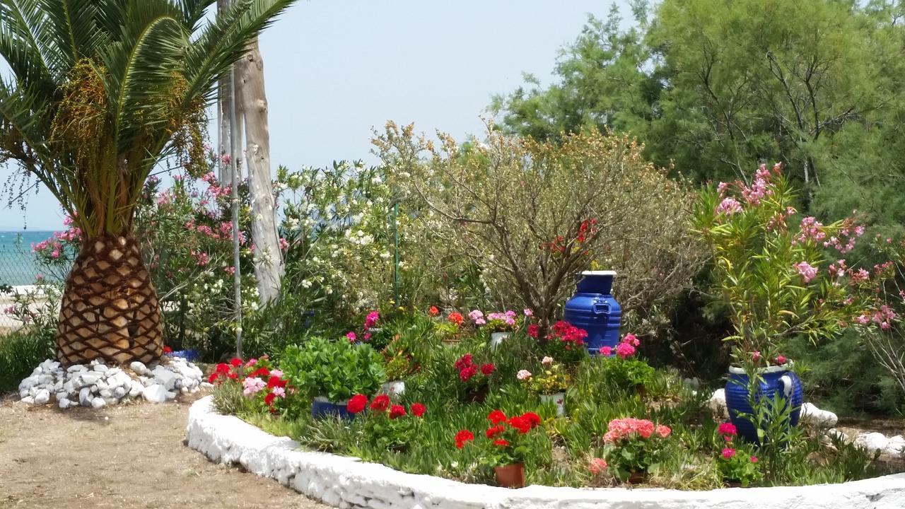 Villa Zoi Thronion Εξωτερικό φωτογραφία